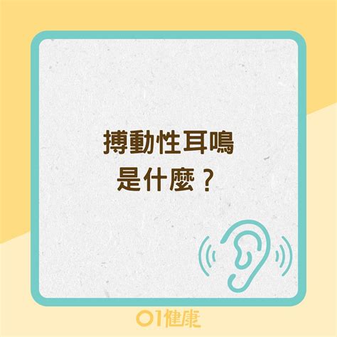 耳鳴是什麼症狀|搏動性耳鳴原因是什麼？耳鼻喉醫師 詳解症狀、預防。